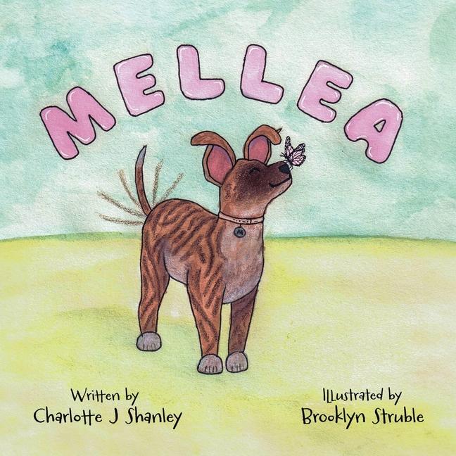 Knjiga Mellea Brooklyn Struble