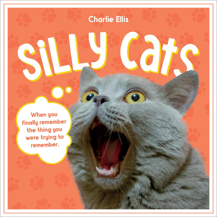 Książka Silly Cats Summersdale Publishers