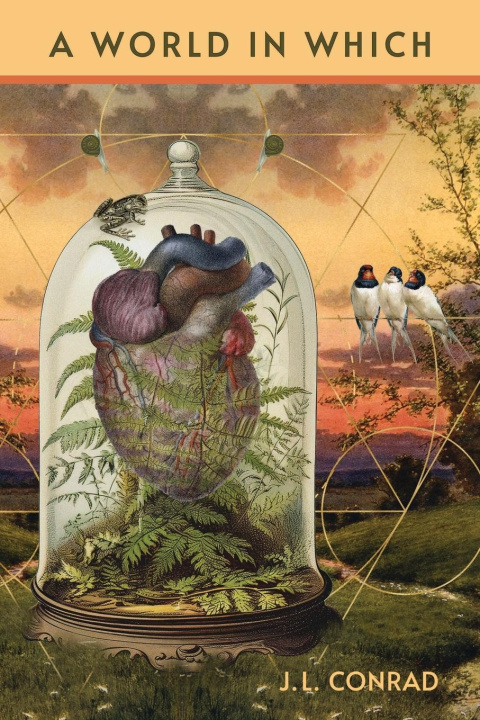 Knjiga A World in Which J.L. Conrad