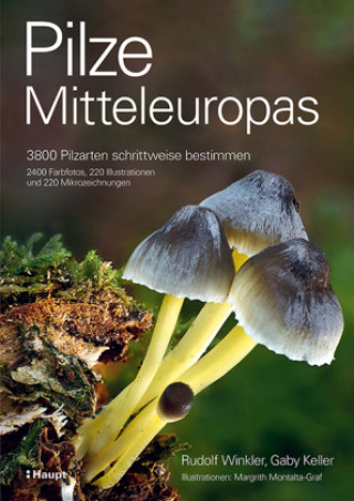 Carte Pilze Mitteleuropas Gaby Keller