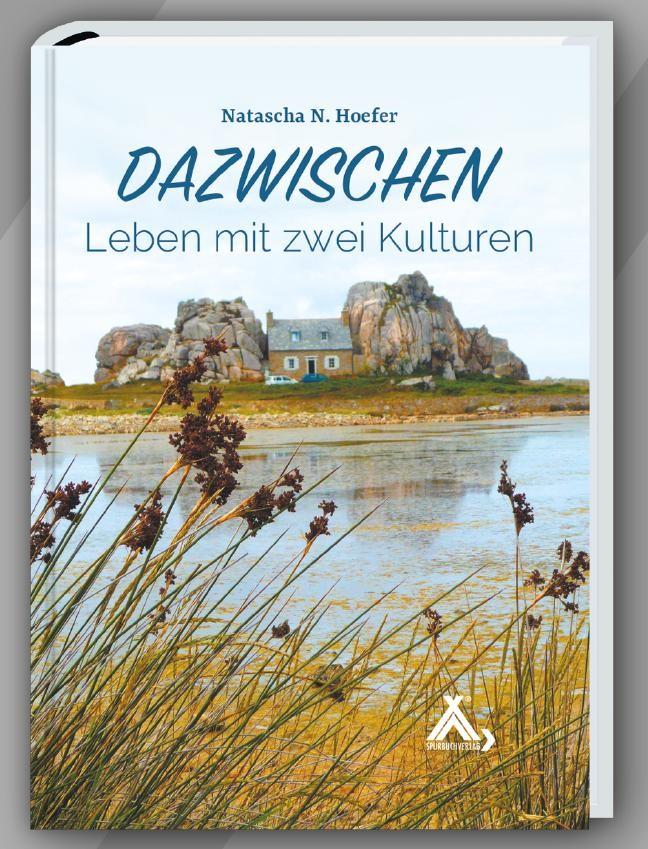 Kniha Dazwischen 