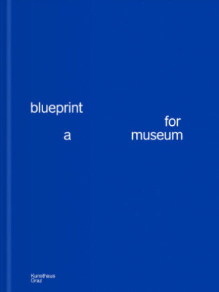 Kniha Blueprint Katrin Bucher Trantow