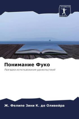 Knjiga Ponimanie Fuko Zh. Felipe Zini K. de Oliwejra
