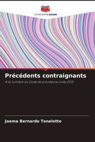 Knjiga Précédents contraignants Joema Bernardo Tonelotto