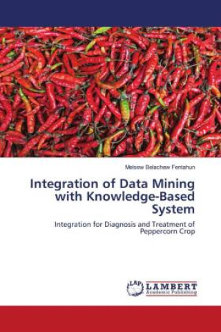 Knjiga Integration of Data Mining with Knowledge-Based System Melsew Belachew Fentahun