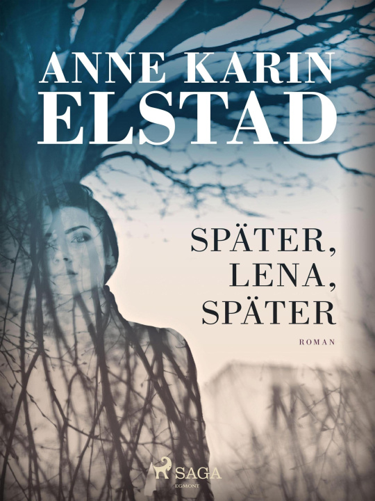 E-Book Später, Lena, später Anne Karin Elstad