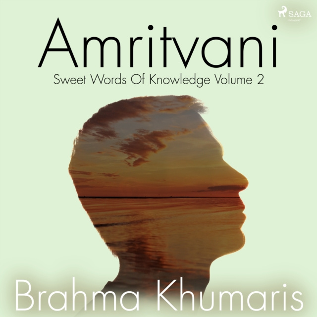 Audiokniha Amritvani 2 Khumaris
