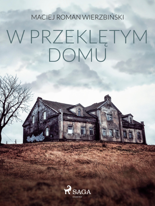 E-book W przeklętym domu Maciej Roman Wierzbinski