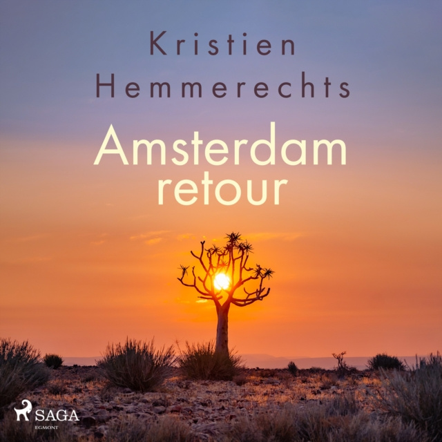 Аудиокнига Amsterdam retour Hemmerechts