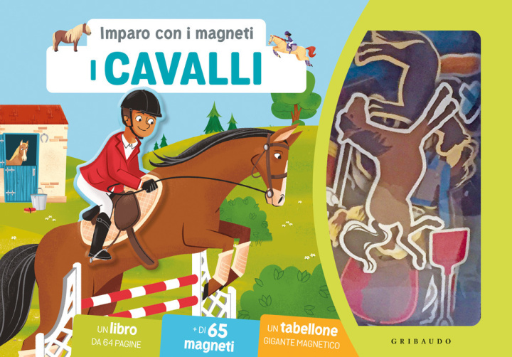 Buch Cavalli. Imparo con i magneti 
