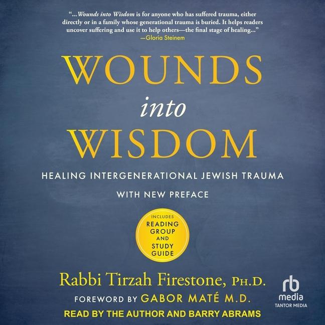 Digital Wounds Into Wisdom Tirzah Firestone