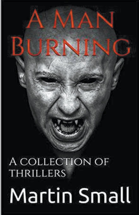 Book A Man Burning Martin Small