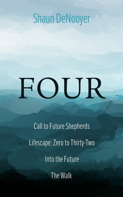 E-knjiga FOUR Shaun DeNooyer