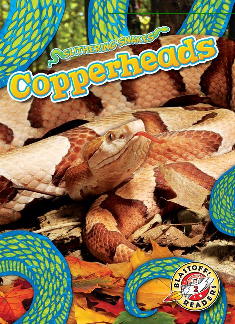 Knjiga Copperheads 
