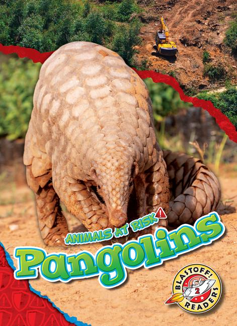 Knjiga Pangolins 