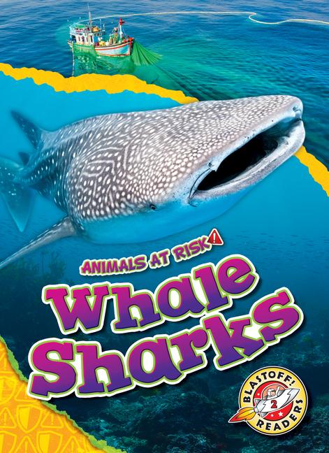 Книга Whale Sharks 