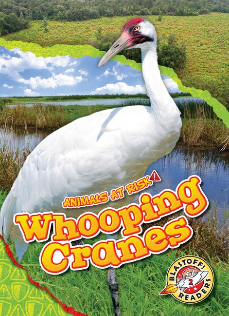 Knjiga Whooping Cranes 