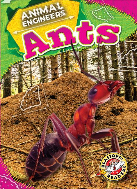 Knjiga Ants 