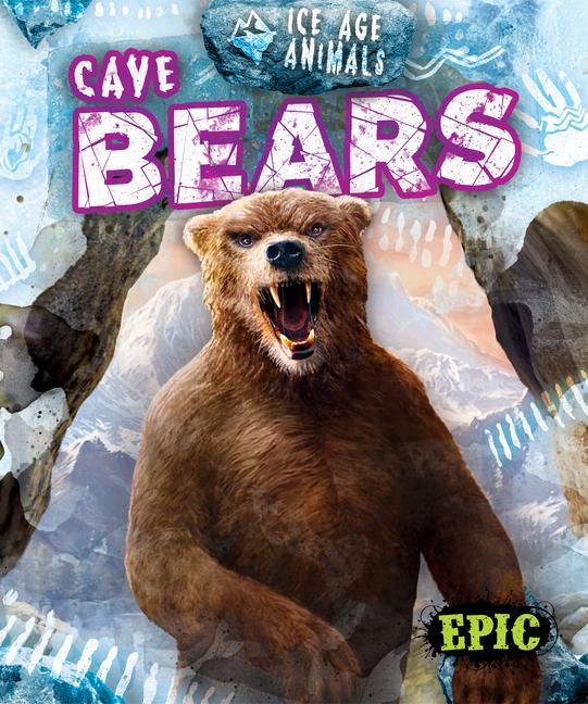 Knjiga Cave Bears 