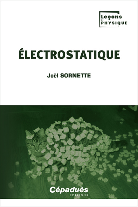 Knjiga Électrostatique Sornette