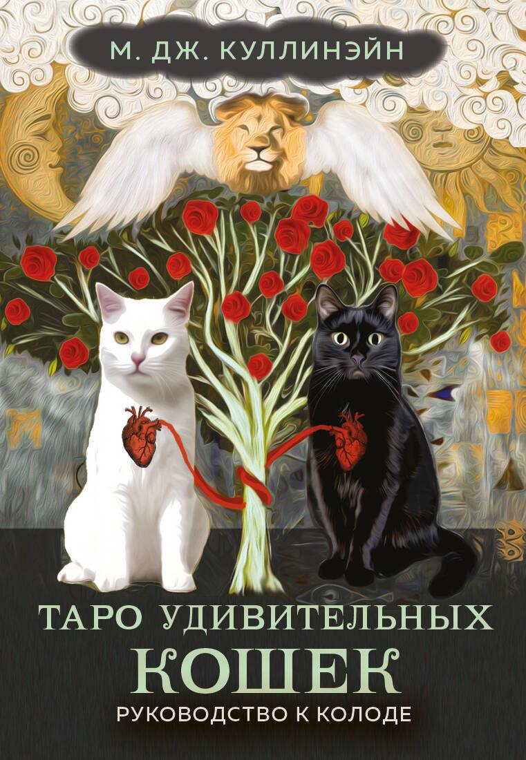 Book Таро удивительных кошек (80 карт и руководство в коробке) 