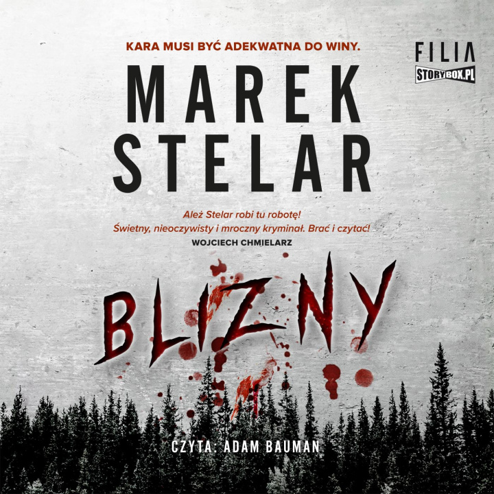 Audiobook Blizny Stelar Marek