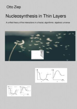 Knjiga Nucleosynthesis in Thin Layers Otto Ziep