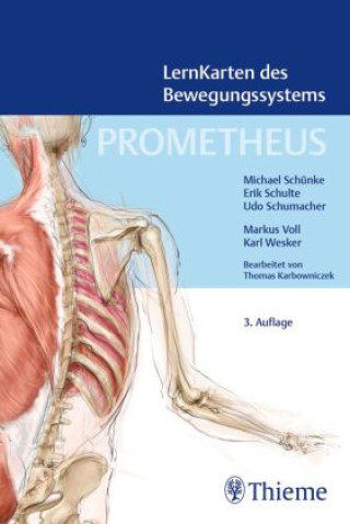 Játék PROMETHEUS LernKarten des Bewegungssystems 