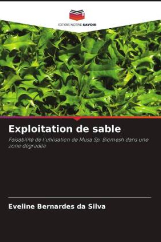 Knjiga Exploitation de sable Eveline Bernardes da Silva
