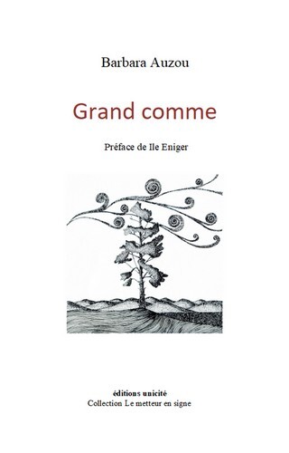 Book Grand comme Auzou