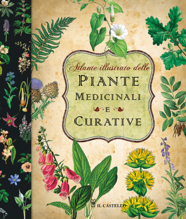 Könyv Atlante illustrato delle piante medicinali e curative 