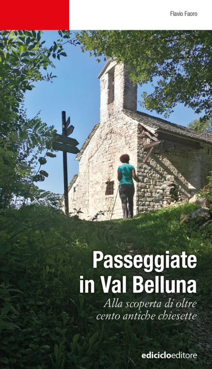 Könyv Passeggiate in Val Belluna. Alla scoperta di cento antiche chiesette Flavio Faoro