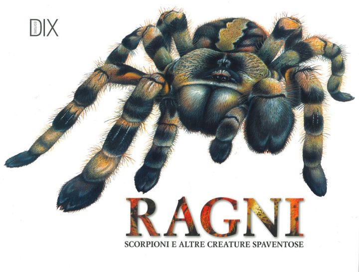 Kniha Ragni, scorpioni e altre creature spaventose Claudia Martin