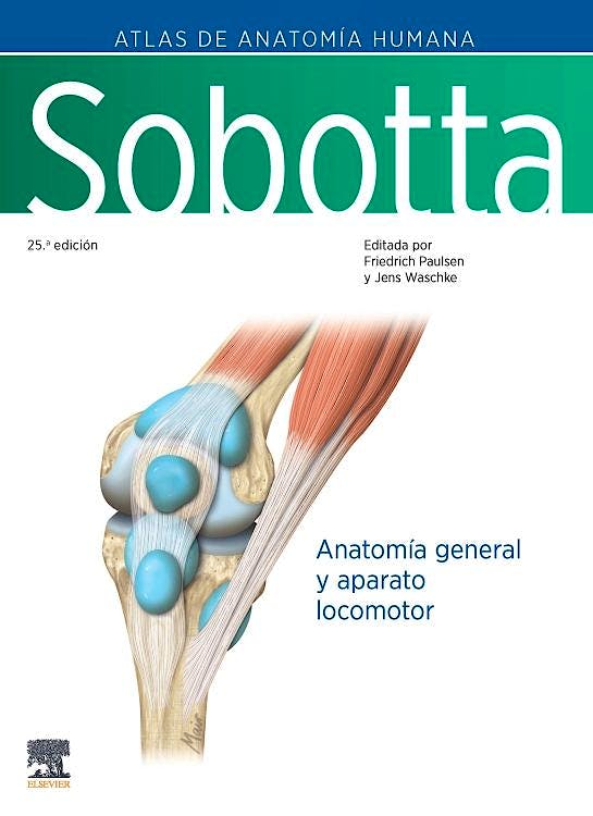 Kniha SOBOTTA ATLAS DE ANATOMIA HUMANA VOL 1 25ª ED PAULSEN