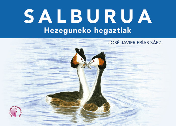 Könyv SALBURUA FRIAS SAEZ