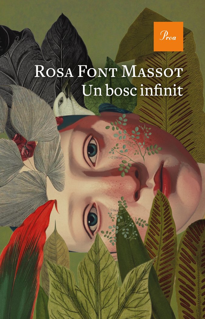 Knjiga Un bosc infinit FONT MASSOT