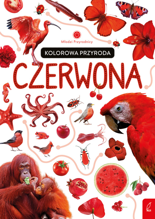 Livro Młodzi przyrodnicy Kolorowa przyroda Czerwona Zarawska Patrycja