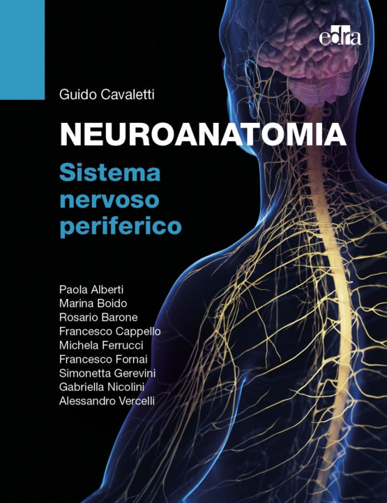 Kniha Neuroanatomia. Sistema nervoso periferico Guido A. Cavaletti