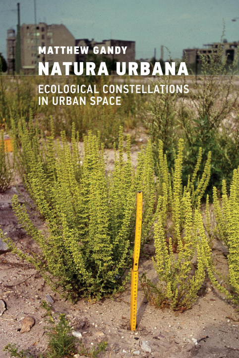 Kniha Natura Urbana Matthew Gandy