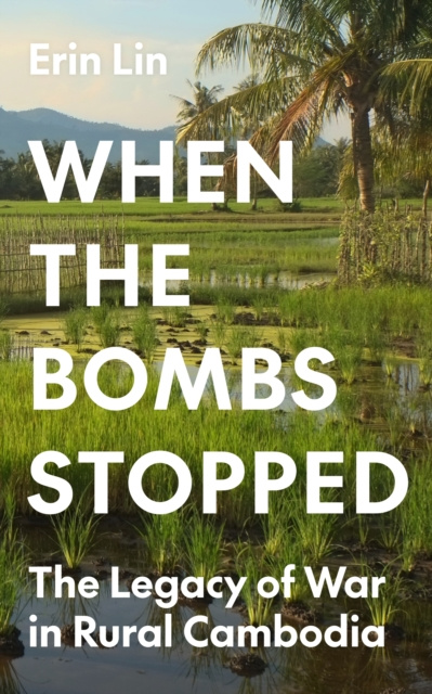 E-Book When the Bombs Stopped Erin Lin