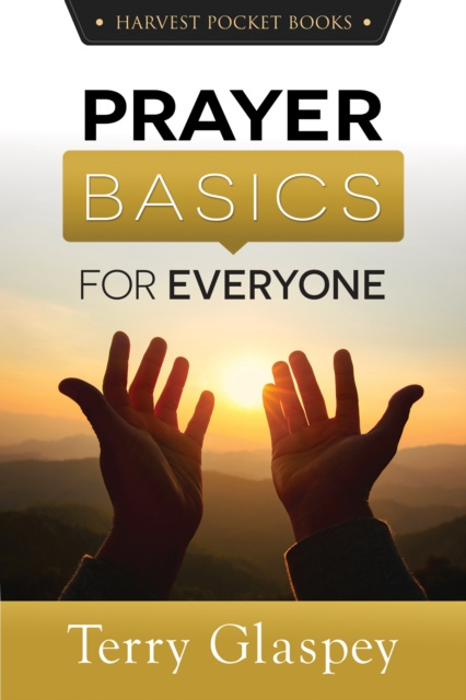 E-kniha Prayer Basics for Everyone Terry Glaspey