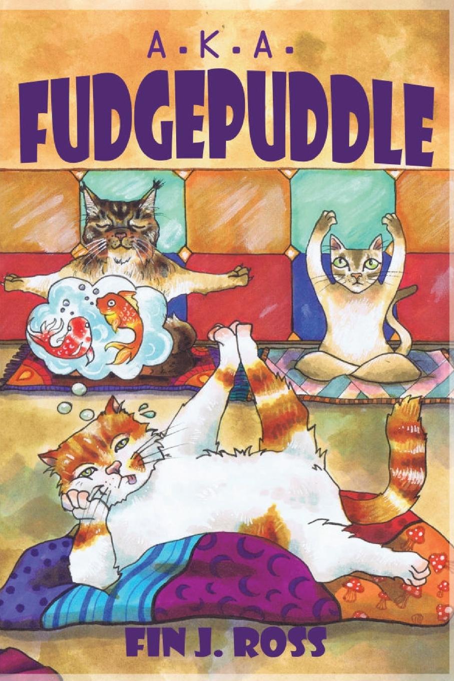 Knjiga A.K.A. Fudgepuddle Fin J. Ross