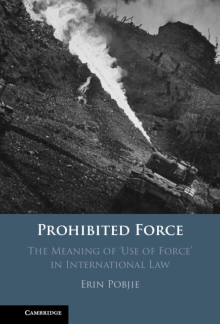 E-knjiga Prohibited Force Erin Pobjie