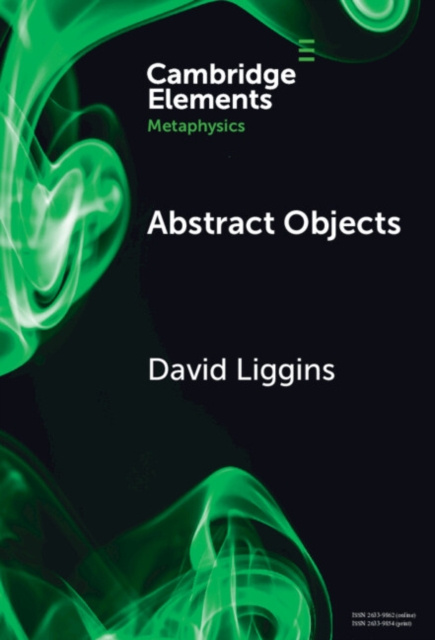 E-book Abstract Objects David Liggins