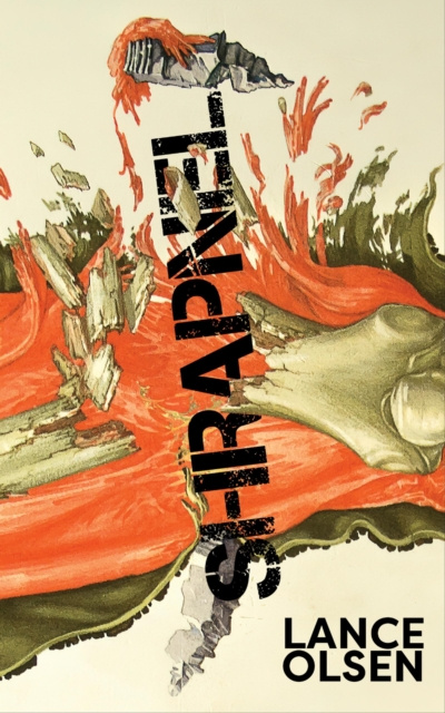 E-knjiga Shrapnel: Contemplations Olsen Lance Olsen