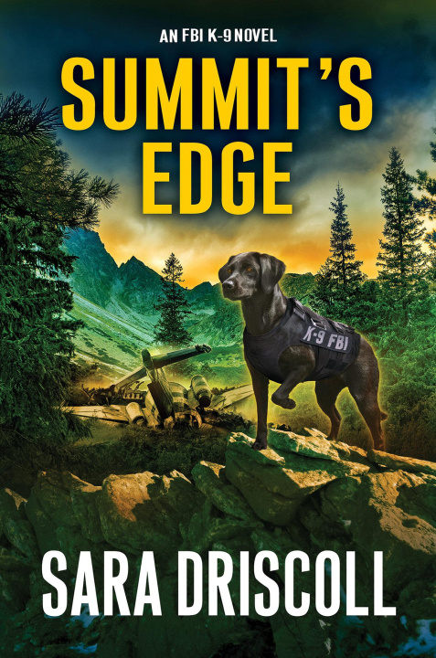 Knjiga Summit's Edge Driscoll