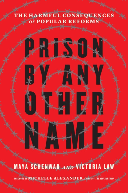 E-knjiga Prison by Any Other Name Maya Schenwar