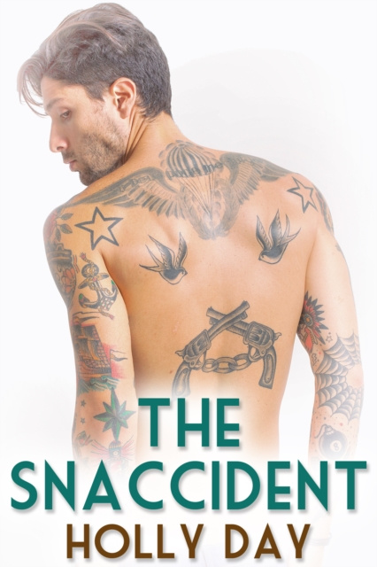 E-book Snaccident Holly Day