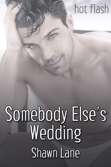 E-knjiga Somebody Else's Wedding Shawn Lane