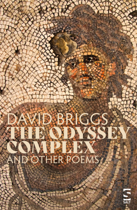 Buch The Odyssey Complex Mr David Briggs